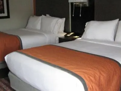 Hotel Holiday Inn Express & Suites Nashville Southeast - Antioch By Ihg